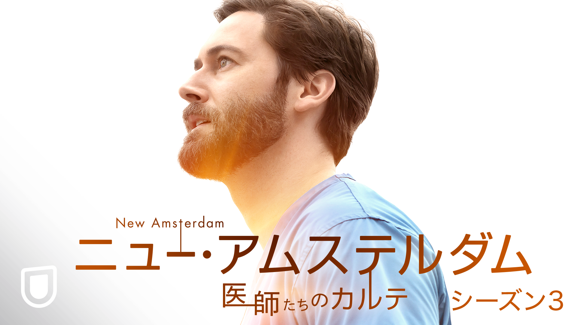 ニュー・アムステルダム 医師たちのカルテ シーズン3