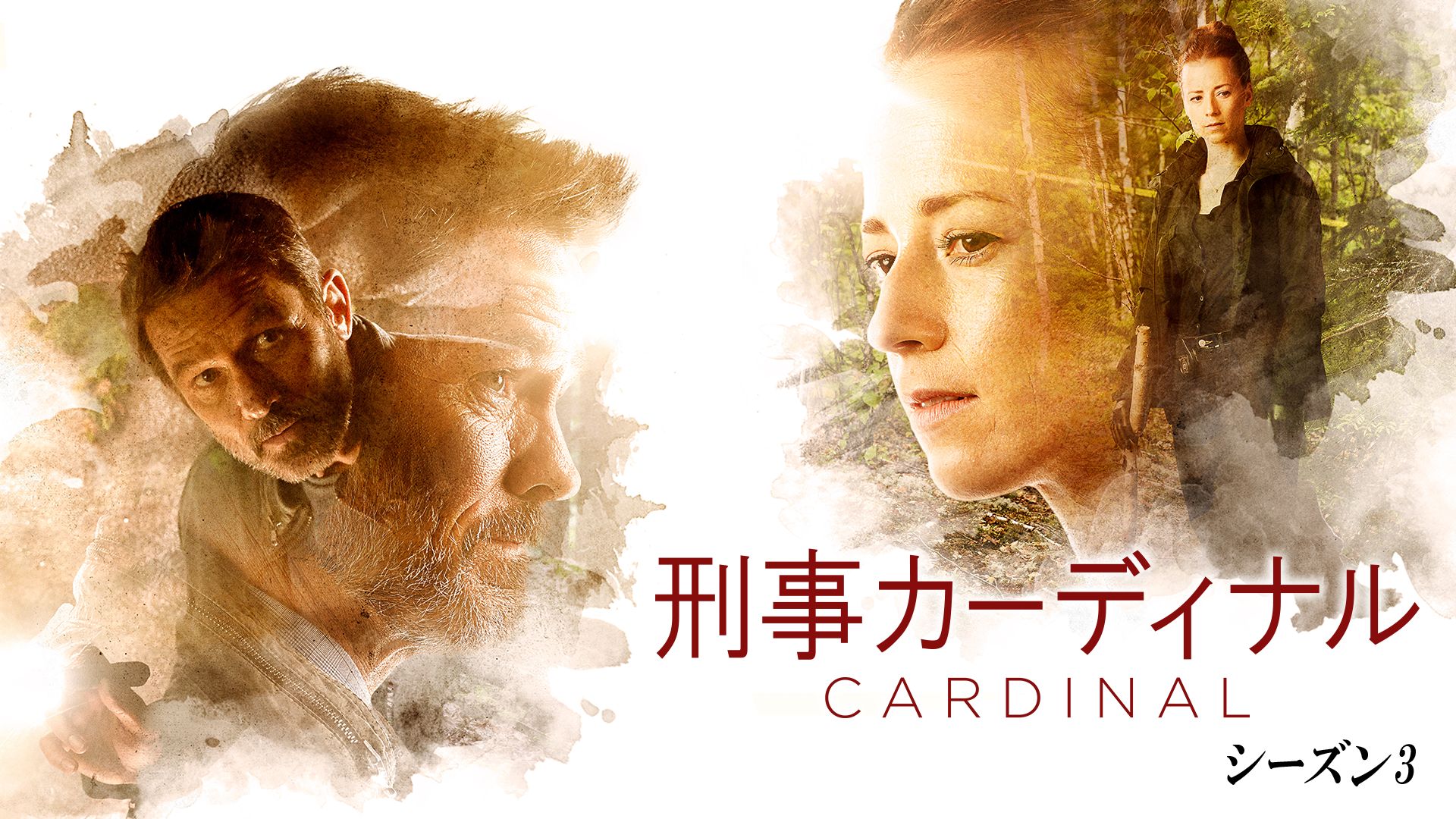 刑事カーディナル シーズン3
