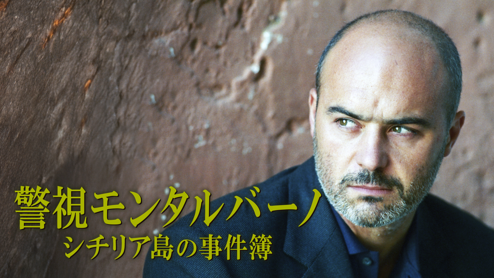 警視モンタルバーノ シチリア島の事件簿